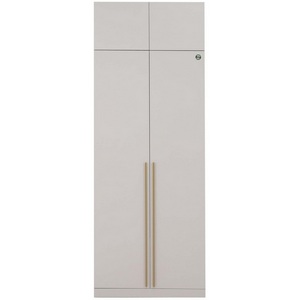 Изображение товара Шкаф Николь-2, Кашемир/Сатиновое золото Ивару 102010