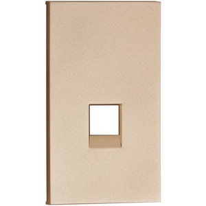 Изображение товара Интернет RG-45/RG11 накладка 2-ух модульная шампань матовый Meiton ACH07M2