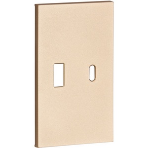 Изображение товара USB+type С, накладка 2-ух модульная шампань матовый Meiton ACH12C