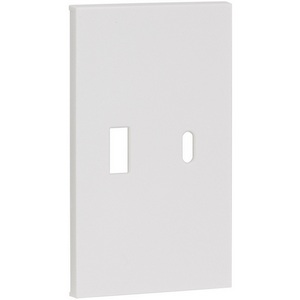 Изображение товара Usb+type С, накладка 2-ух модульная белый матовый Meiton AW12C