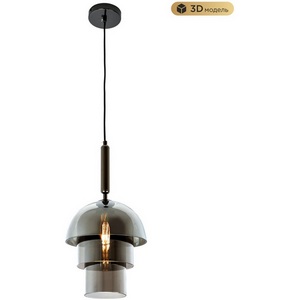 Изображение товара Подвесной светильник Modelux MODESTYLE MS.220.250 BK