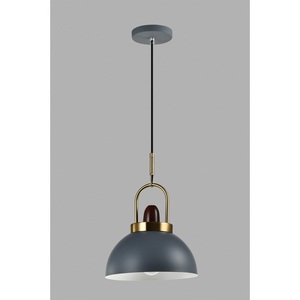 Изображение товара Подвесной светильник Moderli Ravenna V10446-1P