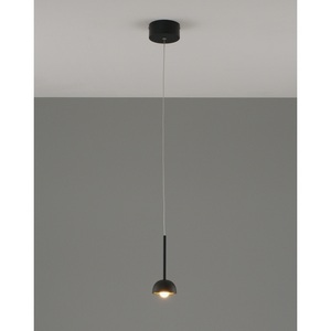 Изображение товара Подвесной светильник светодиодные Moderli Fiona V10891-PL