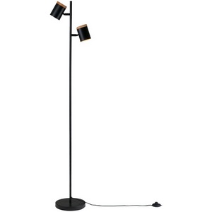 Изображение товара Торшер с выключателем Moderli Asheswood V11287-2F