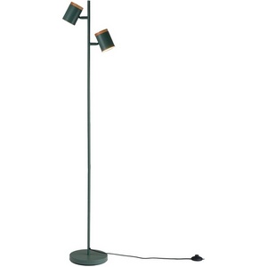 Изображение товара Торшер с галогенными лампами с выключателем Moderli Asheswood V11290-2F