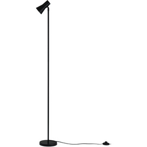 Изображение товара Торшер с выключателем Moderli Melro V11326-1F