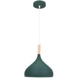 Изображение товара Подвесной светильник Moderli Eline V11446-1P