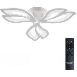 Изображение товара Потолочная люстра (+ночной режим) светодиодная с пультом ДУ 66W, белый, LED Natali Kovaltseva Fortuna LED LAMPS 81107/2C