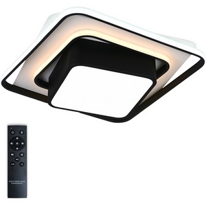 Изображение товара Люстра потолочная с пультом длиной 50 см светодиодная с ПДУ, регулировка яркости цветовой температуры, ночной режим таймер Natali Kovaltseva 81038 81038/4C