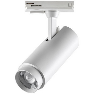 Изображение товара Однофазный двухжильный трековый светильник LED с перекл. цв.температуры,мощности 3000К4000К6000К 5W/9W/13W 220V Novotech Nail 359026