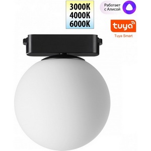 Изображение товара Трековый смарт-светильник для низковольтного шинопровода Novotech Easy 359478 черный с двумя режимами работы LED 6W 24V 3000-6000K (Умный дом, Алиса)