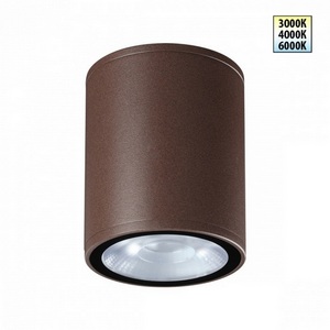 Изображение товара Потолочный светильник светодиодный с переключ. цветовой температуры Novotech Tumbler 359536 коричневый LED 10W 100-240V 3000К\4000К\6000К