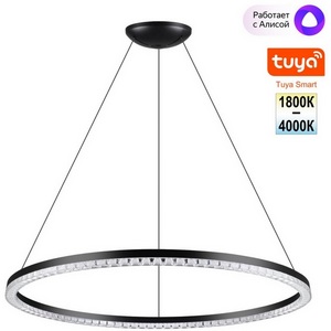 Изображение товара Подвесной светильник светодиодный линейный кольцо Novotech Monile 359711 черный диммируемый со сменой цв. температурыIP20 LED 70W 220-240V 1800-4000К