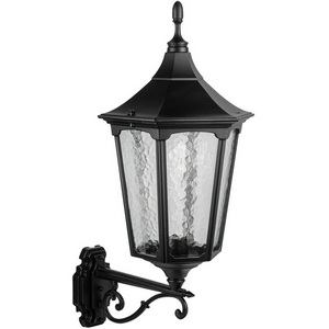 Изображение товара Настенный фонарь уличный Oasis Light ALBORG L 79701L 02C Bl