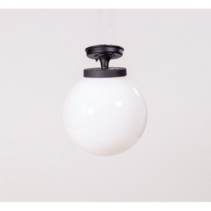 Изображение товара Потолочный светильник уличный IP44 Oasis Light GLOBO S 88205SA Bl в форме шара