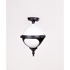 Изображение товара Потолочный светильник уличный IP44 Oasis Light VENA 88405A Bl в форме шара