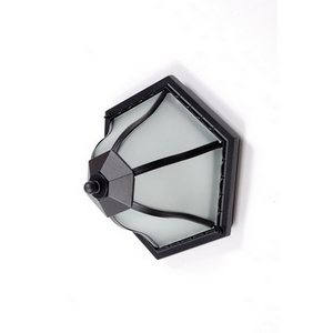 Изображение товара Потолочный светильник уличный IP44 89425 Bl Oasis Light