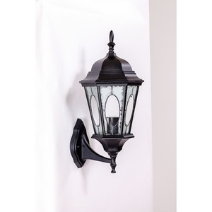 Изображение товара Настенный уличный фонарь IP44 2M 91401M Bl овал Oasis Light ASTORIA