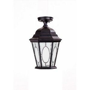 Изображение товара Потолочный светильник уличный IP44 Oasis Light ASTORIA 2M 91405MA Bl овал