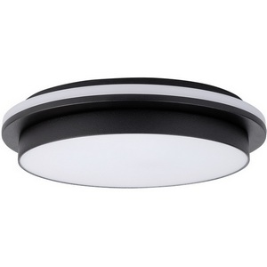 Изображение товара Потолочный светильник уличный IP44 светодиодный Oasis Light SIDNEY LED W2058 Bl