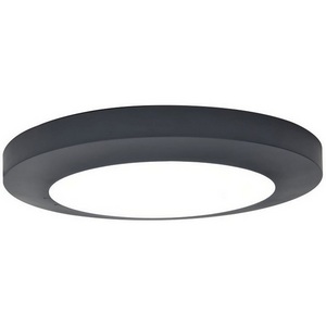 Изображение товара Потолочный светильник уличный IP54 светодиодный Oasis Light SIDNEY LED W3922 Gr