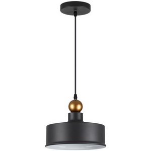 Изображение товара Подвесной светильник Odeon Light Bolli 4088/1