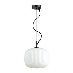 Изображение товара Подвесной светильник Odeon Light Roofi 4753/1