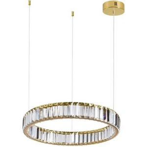 Изображение товара Подвесной светильник LED Odeon Light Vekia 5015/30L кольцо