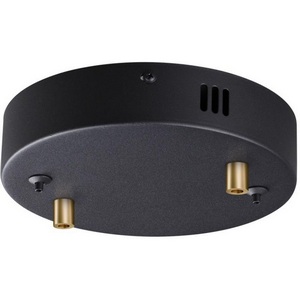 Изображение товара База для 2-х колец Odeon Light Troni 5041/2R черный/металл