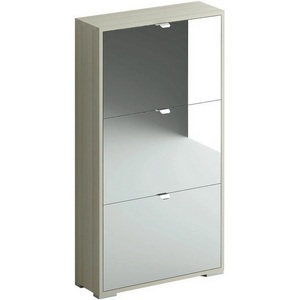 Изображение товара Шкаф для обуви Reggy 3 ОГОГО (арт.332219), (ЛДСП/Зеркальный)