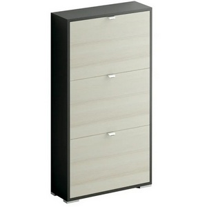 Изображение товара Шкаф для обуви Reggy 3 ОГОГО 332476