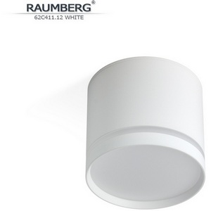 Изображение товара Накладной потолочный светильник Raumberg 62C41112 White