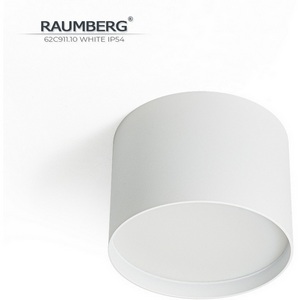 Изображение товара Накладной потолочный светильник Raumberg 62C911.10Wh3000K White IP54