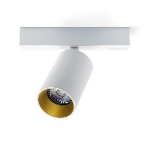 Изображение товара Спот White/Gold RAUMBERG Air Air1WhGd