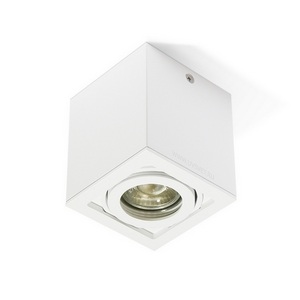 Изображение товара Накладной светильник White RAUMBERG Ox Ox13AcWh