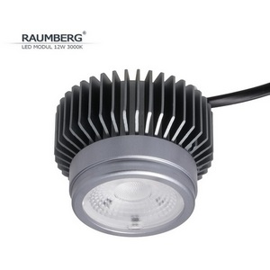 Изображение товара Светодиодный модуль Raumberg Raumberg12W3000K 12W 3000K