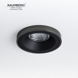Изображение товара Встраиваемый светильник Raumberg Terra F TerraFBk\GBk Black\Gun Black