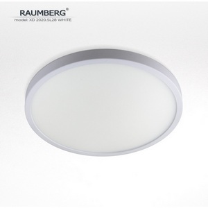 Изображение товара Потолочный светильник светодиодный Raumberg XD2020.SL28 White