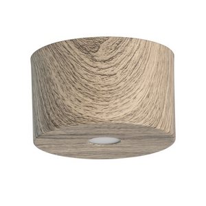 Изображение товара Потолочный светильник светодиодный DeMarkt Иланг 712010201