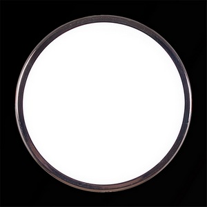 Изображение товара Точечный светильник круглый светодиодный Reluce 41024-9.0-001XW LED24W CR