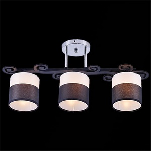 Изображение товара Потолочная люстра на штанге Reluce 05019-0.3-03C BK+CR