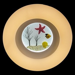 Изображение товара Потолочный светильник круглый светодиодный с пультом Reluce 01023-0.3-01A