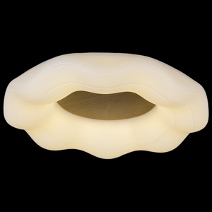 Изображение товара Потолочный светильник светодиодный с пультом Reluce 01029-0.3-01 WOOD