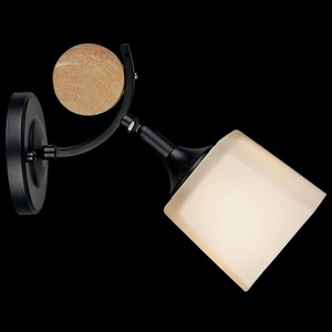 Изображение товара Спот Reluce 04217-0.2-01 BK