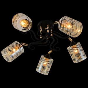 Изображение товара Потолочная люстра на штанге Reluce 11313-0.3-05 BK+FGD