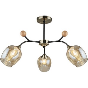 Изображение товара Потолочная люстра на штанге Reluce 02009-0.3-03 AB+BK