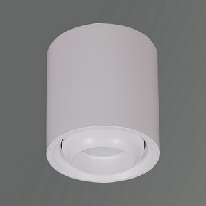 Изображение товара Точечный светильник Reluce 16135-9.5-001 GU10 WT