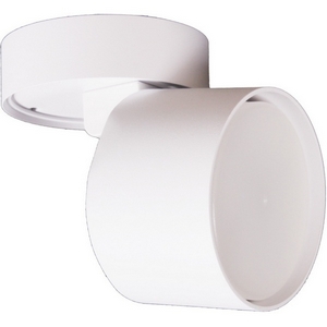 Изображение товара Спот Reluce 53009-9.5-001CT GX53 WT