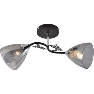 Изображение товара Потолочная люстра на штанге Reluce 01525-0.3-02 BK+CR