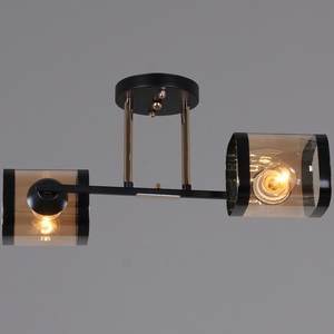 Изображение товара Потолочная люстра на штанге Reluce 09063-3.3-02 BK+FG